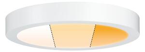 Paulmann 79799 - LED/19W Plafoniera CARPO 230V 2300/2500/3000K
