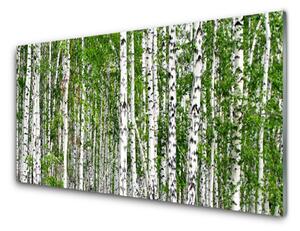Quadro vetro Natura degli alberi della foresta di betulle 100x50 cm