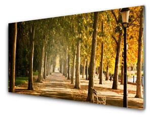 Pannello paraschizzi cucina Parco Alejka Paesaggio 100x50 cm