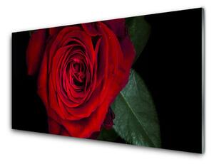Pannello cucina paraschizzi Rosa Sul Muro 100x50 cm