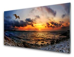 Quadro in vetro Gabbiano mare spiaggia paesaggio 100x50 cm