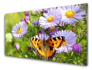 Pannello cucina paraschizzi Fiori. Farfalla. Pianta. Natura 100x50 cm