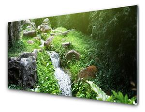 Pannello cucina paraschizzi Pianta della natura 100x50 cm