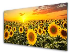 Pannello retrocucina Girasoli 100x50 cm