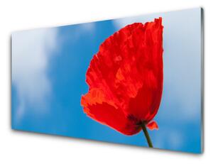 Quadro su vetro Muro di tulipani 100x50 cm