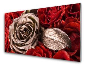 Rivestimento parete cucina Fiori di rose 100x50 cm