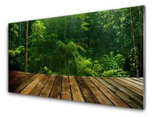 Pannello retrocucina Pianta della natura della foresta 100x50 cm