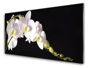 Quadro vetro Pianta di fiori 100x50 cm