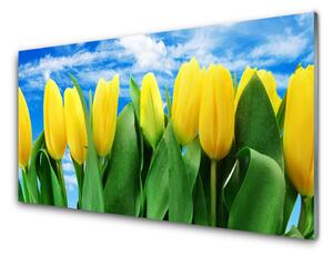 Pannello cucina paraschizzi Fiori di tulipani 100x50 cm