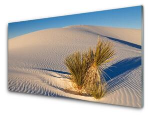 Rivestimento parete cucina Paesaggio di sabbia del deserto 100x50 cm