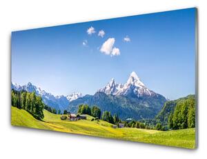 Pannello cucina paraschizzi Paesaggio di montagna di campi di alberi 100x50 cm