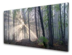 Pannello paraschizzi cucina Alberi della natura della foresta 100x50 cm