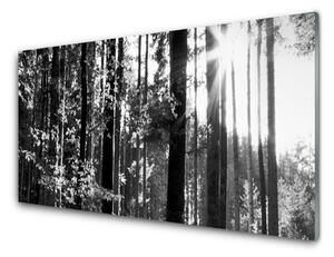 Pannello paraschizzi cucina Alberi della natura della foresta 100x50 cm