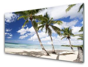 Quadro vetro Spiaggia di mare Palm Landscape 100x50 cm