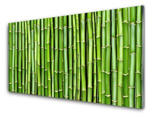 Quadro vetro Pianta di fiori di bambù 100x50 cm