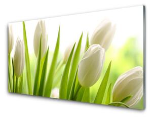 Quadro in vetro Fiori di tulipani 100x50 cm