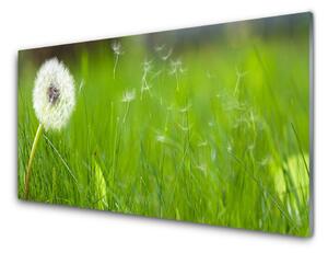 Quadro vetro Pianta di erba soffiata 100x50 cm