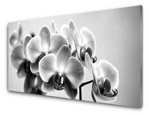 Rivestimento parete cucina Fiori, piante, natura 100x50 cm