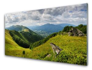Quadro su vetro Paesaggio dei prati di montagna 100x50 cm 2 appendini