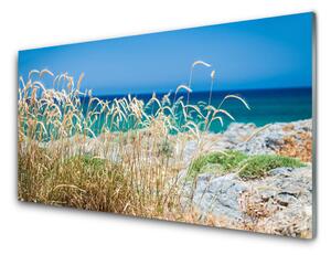 Quadro su vetro Paesaggio della spiaggia 100x50 cm
