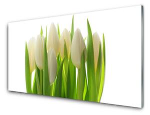 Quadro su vetro Tulipani Pianta Naturale 100x50 cm