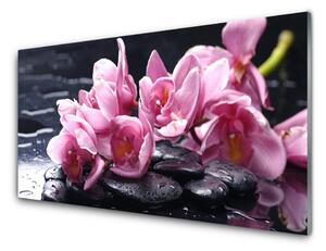 Quadro di vetro Pianta di orchidea da fiore 100x50 cm