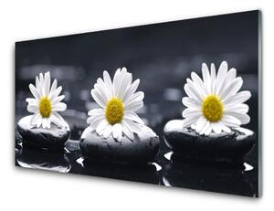 Pannello rivestimento parete cucina Pianta delle pietre della margherita 100x50 cm