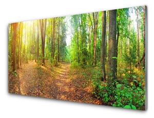 Pannello paraschizzi cucina Alberi della natura della foresta 100x50 cm