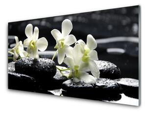 Pannello rivestimento parete cucina Pianta di pietre di orchidea 100x50 cm
