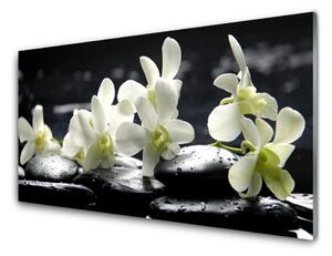 Pannello paraschizzi cucina Pianta di pietre di fiori 100x50 cm