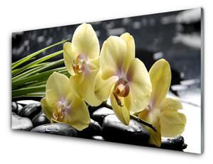 Pannello rivestimento parete cucina Fiori, piante, natura 100x50 cm