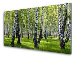 Quadro di vetro Foresta Alberi Natura 100x50 cm