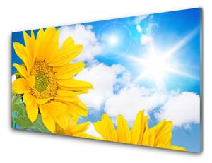 Pannello cucina paraschizzi Fiori, piante, natura 100x50 cm