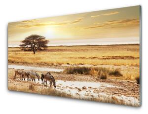 Quadro su vetro Paesaggio safari con zebre 100x50 cm
