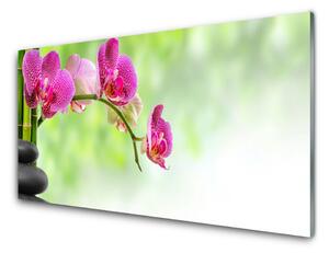 Quadro in vetro Fiore della natura Bambù 100x50 cm
