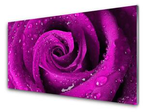Quadro in vetro Fiore di rosa pianta naturale 100x50 cm