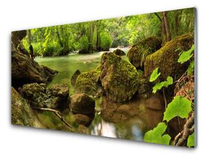 Pannello cucina paraschizzi Natura del lago di roccia 100x50 cm
