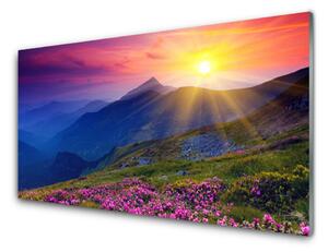 Pannello cucina paraschizzi Paesaggio del prato di montagna del fiore 100x50 cm