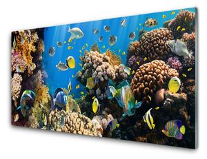 Quadro vetro Natura della barriera corallina 100x50 cm