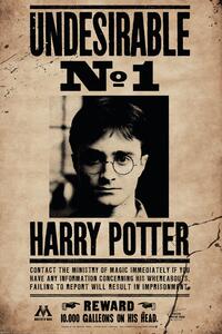 Posters, Stampe Harry Potter - Undersirable No 1, (61 x 91.5 cm)