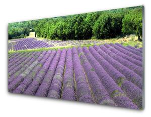 Pannello cucina paraschizzi Prato, fiori, natura 100x50 cm