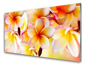 Pannello rivestimento parete cucina Fiori, piante, natura 100x50 cm
