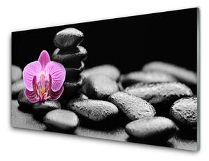 Pannello paraschizzi cucina Pietre di fiori Art 100x50 cm
