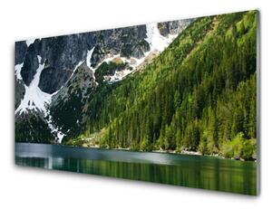 Quadro vetro Lago Foresta Montagne Paesaggio 100x50 cm