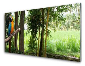 Quadro su vetro Albero dei pappagalli Natura 100x50 cm