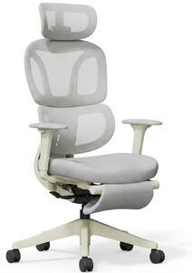Sedia da ufficio ergonomica BS5WG-M2, con poggiapiedi, grigia