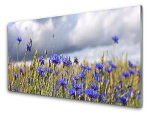 Pannello cucina paraschizzi Fiori, piante, natura 100x50 cm