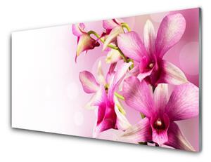 Pannello paraschizzi cucina Fiori, piante, natura 100x50 cm