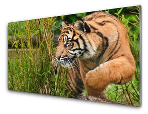 Quadro su vetro Animali tigre 100x50 cm