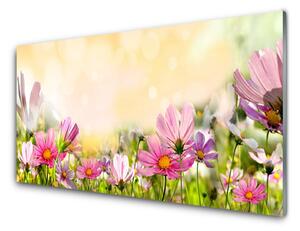 Pannello cucina paraschizzi Fiori, piante, natura 100x50 cm